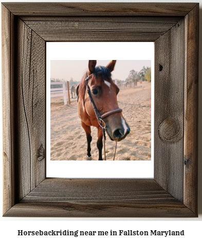 horseback riding near me in Fallston, Maryland